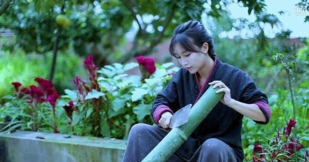 Tiên nữ đồng quê Lý Tử Thất kiện công ty quản lý - 2 Tiên nữ đồng quê Lý Tử Thất kiện công ty quản lý - 2