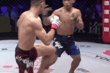 Tung cú đấm trời giáng, võ sĩ Việt Nam hạ knock-out đối thủ Trung Quốc
