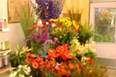 Viết luận hay, “ẵm” luôn cửa hàng hoa