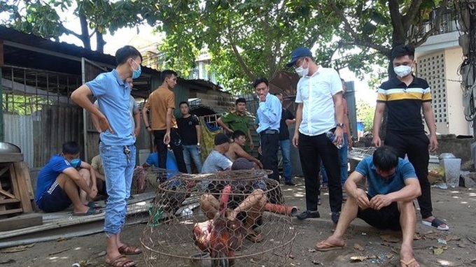Bắt quả tang 29 đối tượng đánh bạc bằng hình thức đá gà. (Ảnh: Báo Sài Gòn giải phóng).