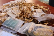 Tìm thấy 20kg vàng dưới tòa chung cư bị sập