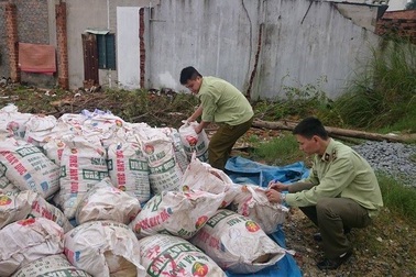 Thu giữ 76 bao tải măng tươi đã bốc mùi