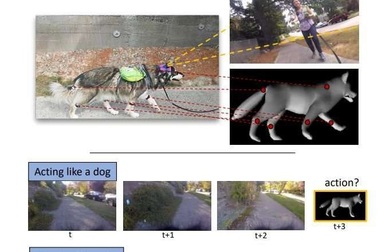 Hệ thống AI được lập trình để phản hồi giống như loài chó