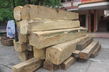 Một ngày bắt giữ gần 20m3 gỗ lậu