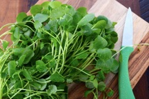 Bất ngờ với loại rau lành mạnh nhất theo xếp hạng của CDC Mỹ