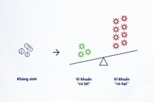 Tác dụng không mong muốn khi sử dụng kháng sinh