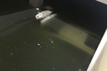 Hàng chục chủ xe sang não nề nhìn "xế yêu" chìm nghỉm trong nước suốt một ngày