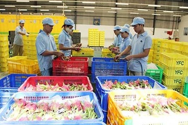 Trung Quốc muốn mua nông sản Việt Nam qua sàn