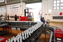 Nhân sự cấp cao ở Habeco: Chuẩn bị có thay đổi lớn