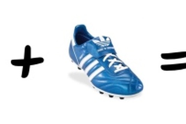 Nuôi mèo hay hơn nuôi chó!