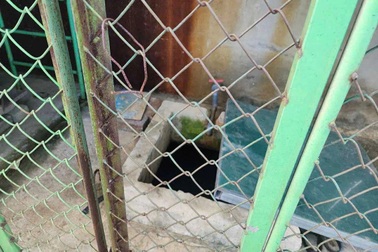 Bé 5 tuổi tử vong trong bể nước trường mầm non