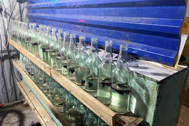 Tụ tập chơi cá chọi trong đêm, 6 người ở Hải Phòng bị phạt 6 triệu đồng