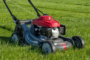 Một cặp đôi khoả thân bị bắt trên chiếc máy cắt cỏ ăn trộm