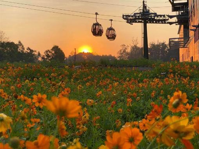 Trở lại Sun World, du khách ngỡ ngàng - Ảnh 15.