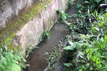 Bố tử vong khi đưa đón con đi thi