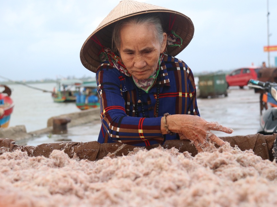 Trúng luồng ruốc, ngư dân kiếm triệu mỗi ngày - 8 Trúng luồng ruốc, ngư dân kiếm triệu mỗi ngày - 8