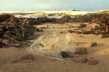 Kinh ngạc về mức độ vi nhựa tại một vùng biển hẻo lánh ở Anh