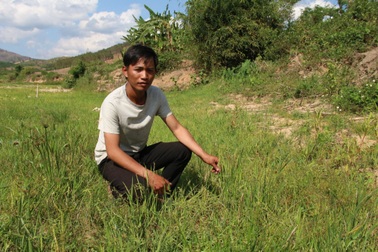 Thủy điện xả lũ "đúng quy trình", người dân khốn đốn vì thất thu