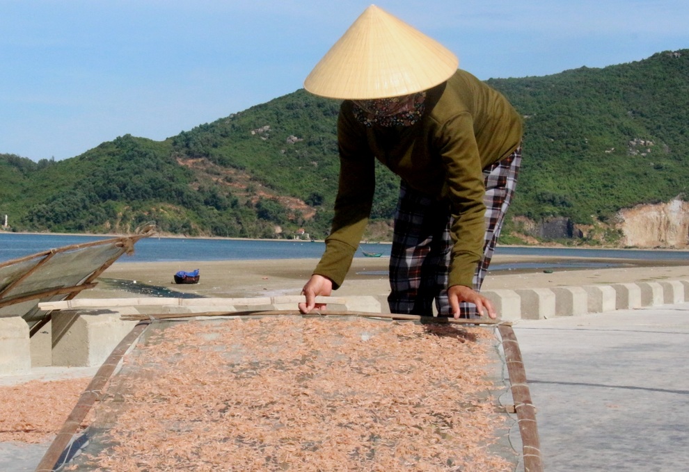 Ngư dân trúng mùa ruốc, thu tiền triệu mỗi ngày - 9 Ngư dân trúng mùa ruốc, thu tiền triệu mỗi ngày - 9