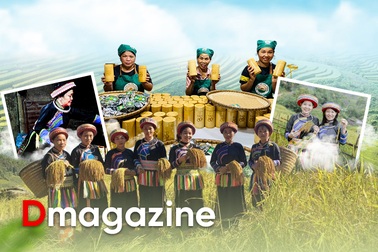 Hợp tác xã - mở lối thoát nghèo cho phụ nữ dân tộc thiểu số