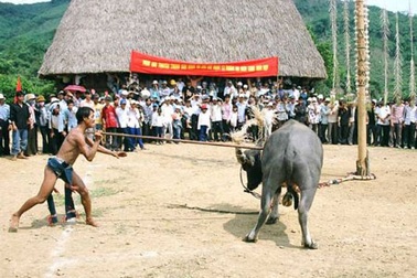 Nợ nần chồng chất sau lễ hội đâm trâu 