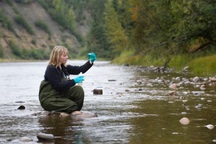 Lương cao, ít áp lực, dễ thăng tiến trong tương lai