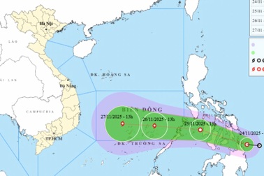 Các tỉnh Nam Trung Bộ sẵn sàng ứng phó cơn bão số 15
