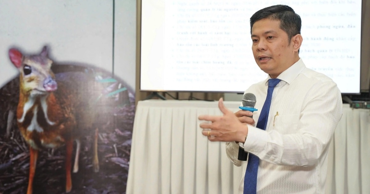 Cần xử lý hình sự các hành vi săn bắt động vật hoang dã