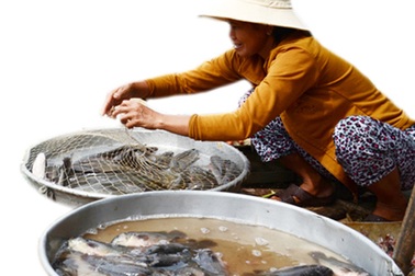 Chợ quê mùa nước nổi