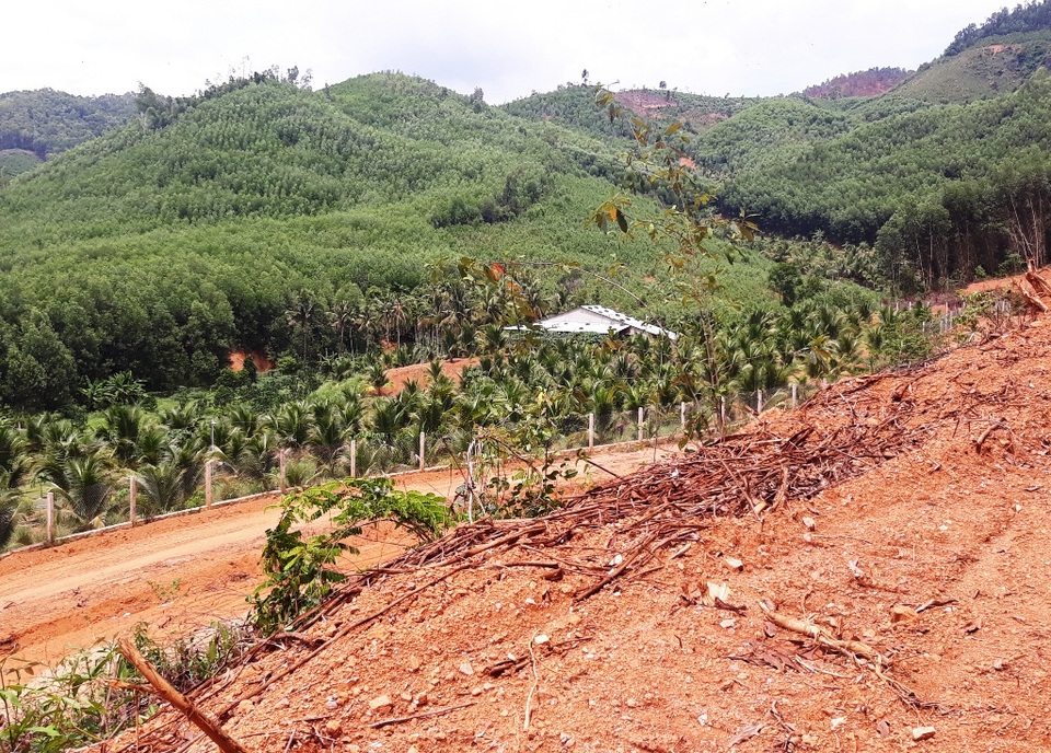 Bình Định: Tự ý san ủi, mở đường đe doạ hồ thủy lợi, người dân hoang mang - 4 Bình Định: Tự ý san ủi, mở đường đe doạ hồ thủy lợi, người dân hoang mang - 4
