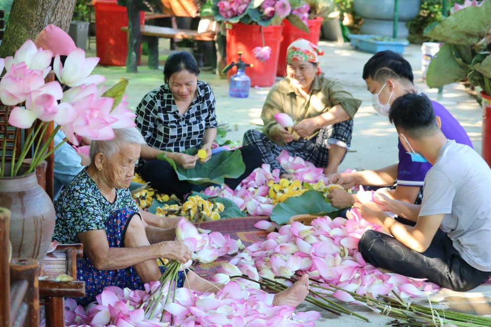 Thạc sĩ bỏ phố về làng khởi nghiệp, ước mơ đưa hoa sen vươn ra thế giới - 9