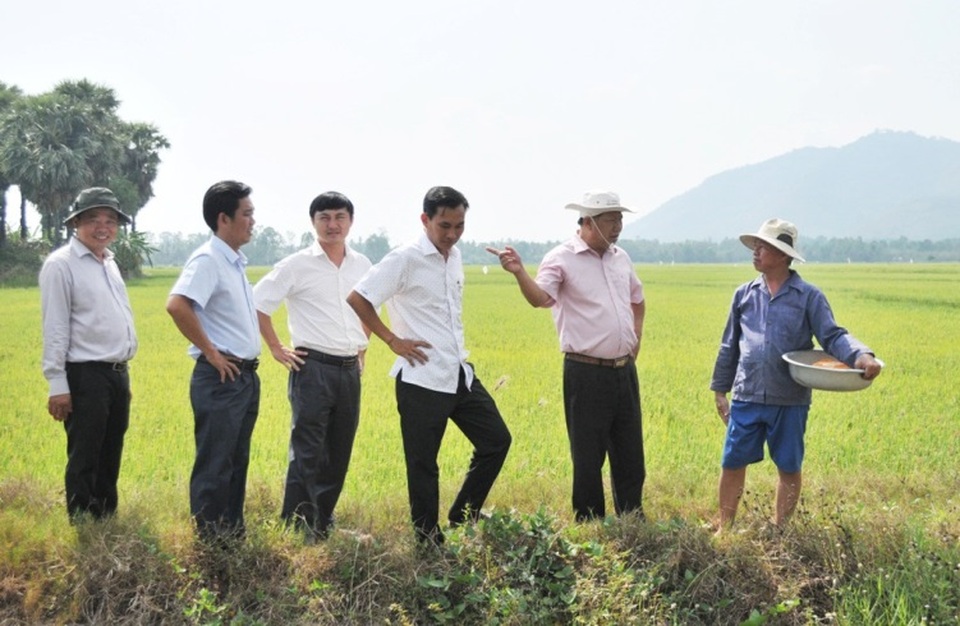 An Giang: Ngành lúa gạo và thủy sản An Giang đạt kết quả nổi bật nhờ ứng dụng công nghệ cao - 1 An Giang: Ngành lúa gạo và thủy sản An Giang đạt kết quả nổi bật nhờ ứng dụng công nghệ cao - 1