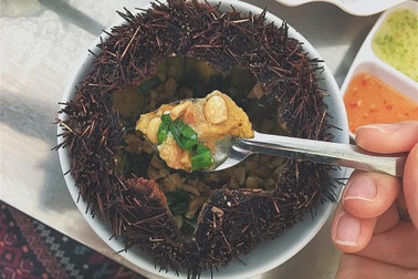 Thứ hải sản gai góc "rợn người" nhưng lại được xem là "nhân sâm biển"