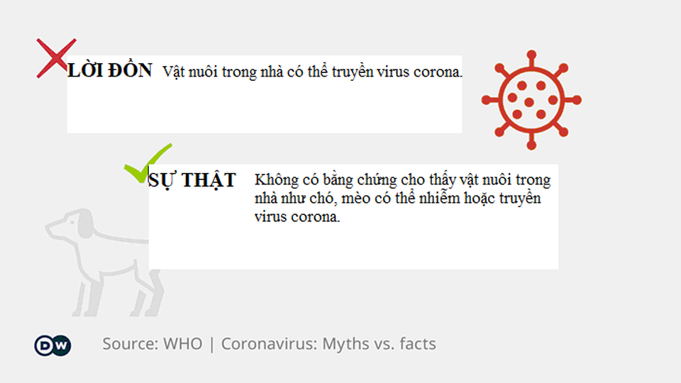 Lời đồn và sự thật: Thông tin trên mạng về virus corona đúng đến đâu? - 4 Lời đồn và sự thật: Thông tin trên mạng về virus corona đúng đến đâu? - 4