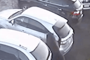 Gấu hoang điên cuồng tấn công, bé trai 12 tuổi giả chết để thoát thân