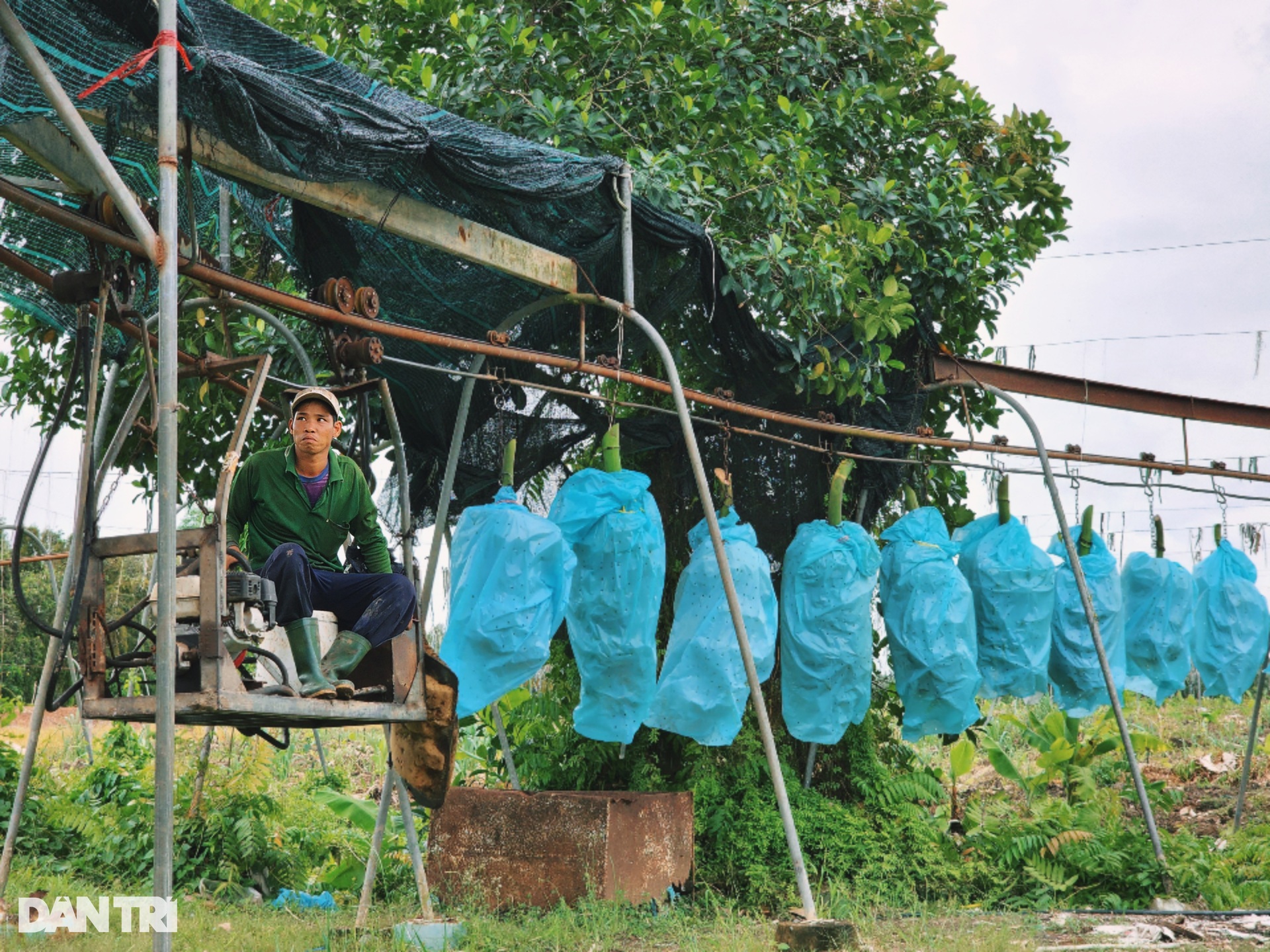 Từ cậu bé làm thuê đến cuộc trường chinh đổi vận thành vua đất miền Tây - 8 Từ cậu bé làm thuê đến cuộc trường chinh đổi vận thành vua đất miền Tây - 8
