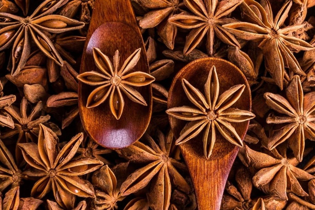 Việt Nam trồng được cây hoa quý hiếm, xuất khẩu lớn thứ 2 thế giới - 1 Việt Nam trồng được cây hoa quý hiếm, xuất khẩu lớn thứ 2 thế giới - 1