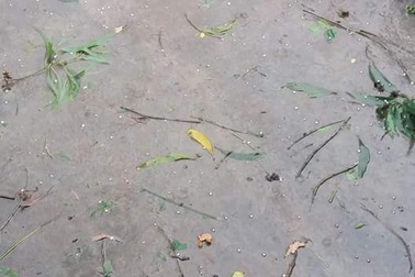 Mưa đá xuất hiện ở Huế