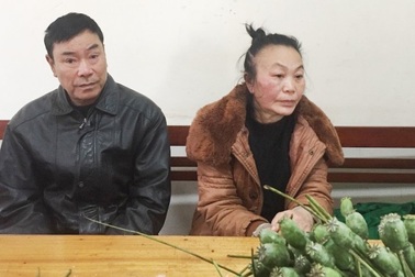 Mang hàng nghìn quả thuốc phiện tươi đi bán, hai đối tượng bị bắt giữ