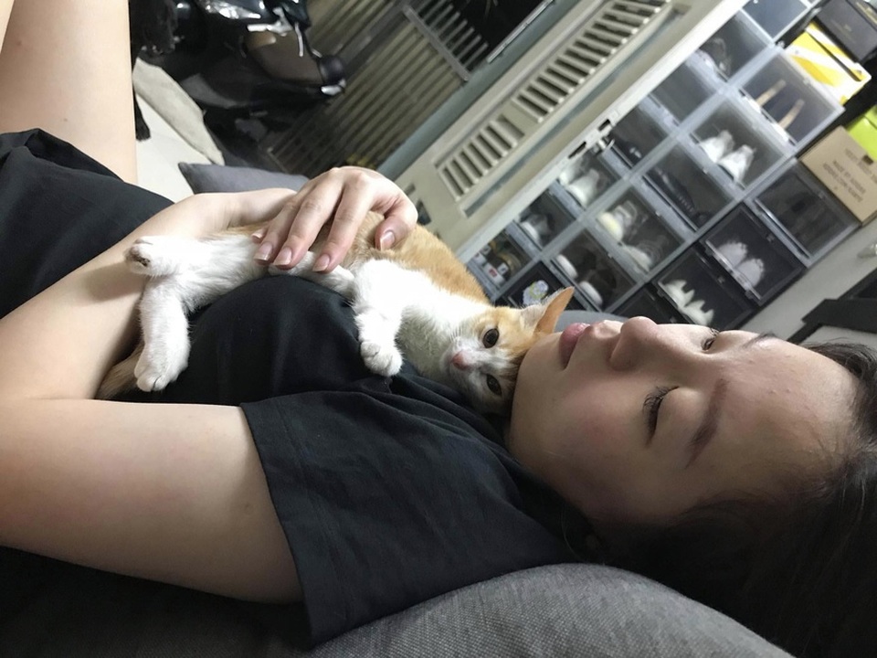 Chú mèo “nổi nhất” mạng xã hội nhờ “vai diễn” trong clip hướng dẫn tắm - 4 Chú mèo “nổi nhất” mạng xã hội nhờ “vai diễn” trong clip hướng dẫn tắm - 4