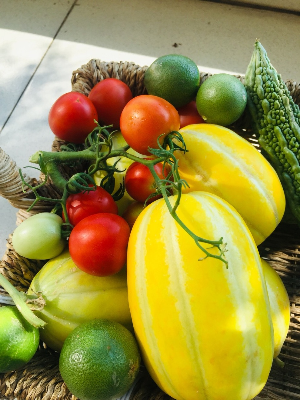 Gia chủ Sài Gòn vác đất lên sân thượng, làm vườn rau trái xanh sum suê - 12