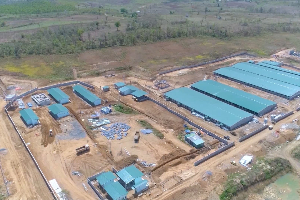 Nhiều bất cập tại các trang trại chăn nuôi ở Gia Lai - 3 Nhiều bất cập tại các trang trại chăn nuôi ở Gia Lai - 3