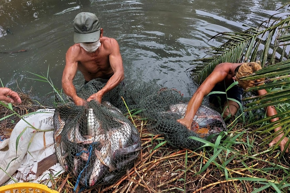 Nông dân tặng cả ruộng rau, ao cá hỗ trợ người khó khăn vùng dịch - 4 Nông dân tặng cả ruộng rau, ao cá hỗ trợ người khó khăn vùng dịch - 4