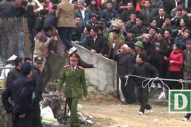 Những pha quyết đấu của trâu chọi Hải Lựu