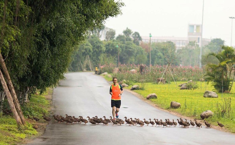 Ecopark Marathon 2021 - Ngắm cung đường chạy giữa thiên nhiên Ecopark Marathon 2021 - Ngắm cung đường chạy giữa thiên nhiên