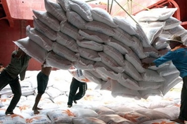 “Sản xuất lúa gạo, lợi ích dài hạn phải thuộc về nông dân”