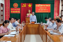 Kỷ luật cảnh cáo nguyên Chủ tịch UBND huyện cho thuê đất sai quy định