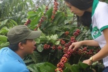 Bỏ việc về quê làm nông, trai kế toán khởi nghiệp từ..."của nợ"