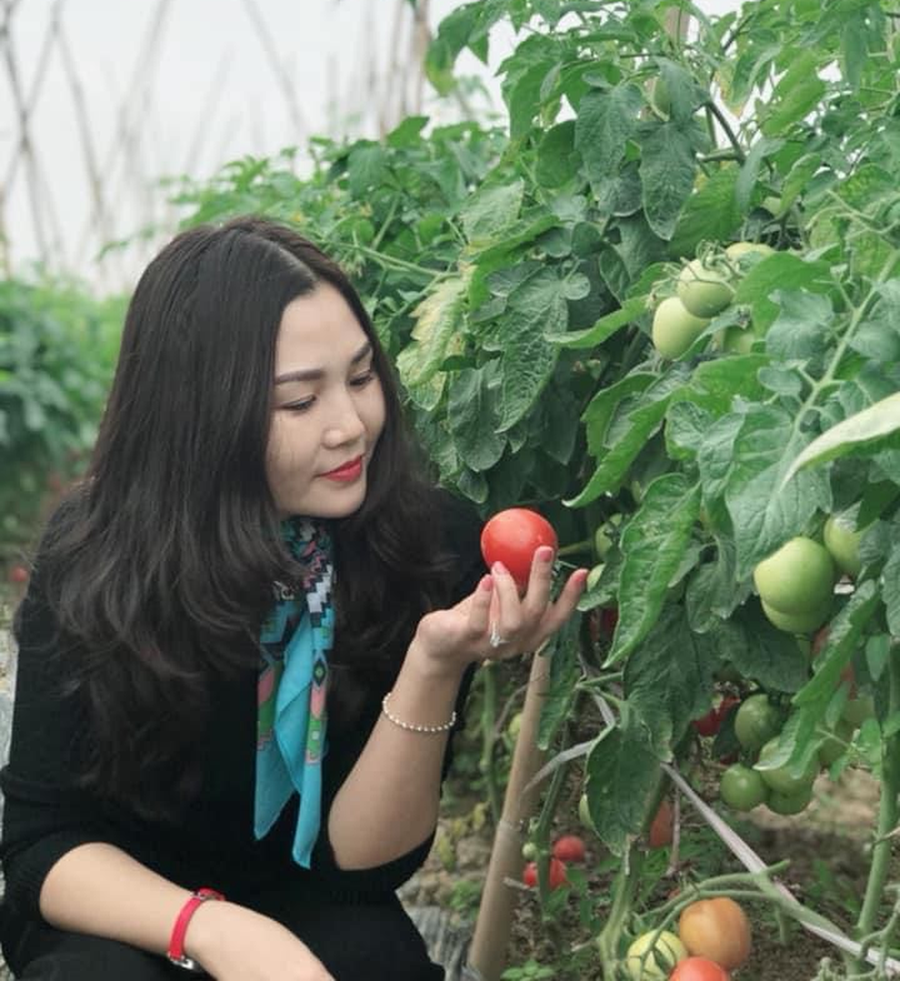 Vườn rau trái trồng trong thùng xốp xanh mướt, trĩu quả của cô giáo mầm non - 5 Vườn rau trái trồng trong thùng xốp xanh mướt, trĩu quả của cô giáo mầm non - 5