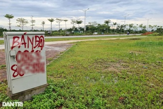 Hình dung sao về TPHCM theo Đồ án quy hoạch đến năm 2040, tầm nhìn 2060? 3 Tỉnh Nam Định, Ninh Bình sắp đấu giá 377 lô đất, khởi điểm từ 5 triệu/m2